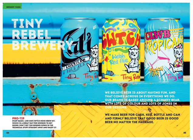 Beer Craft [KSIĄŻKA]