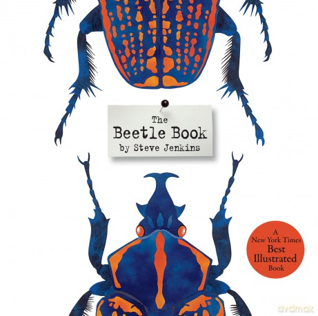 Beetle Book Hb [KSIĄŻKA]