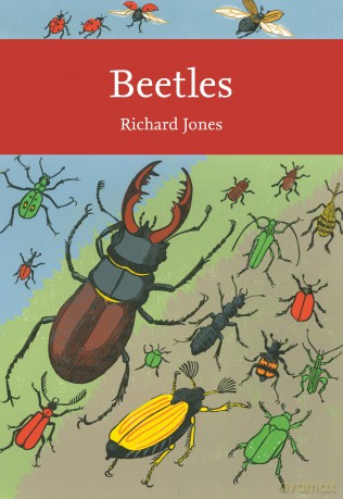 Beetlesnn Lib136 [KSIĄŻKA]