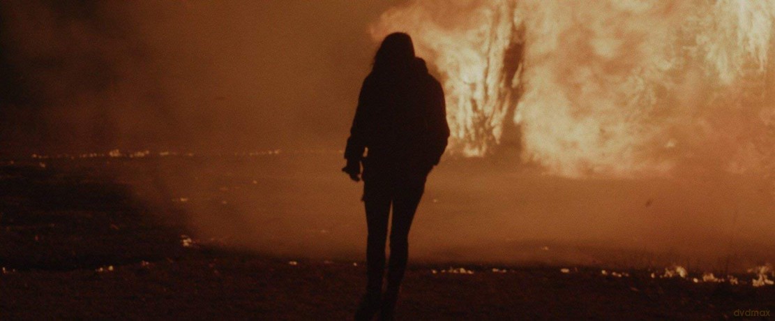 Before The Fire-Angst Ist Ansteckend [DVD]