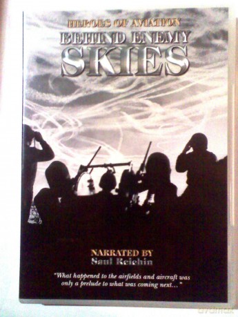 Behind Enemy Skies [DVD]