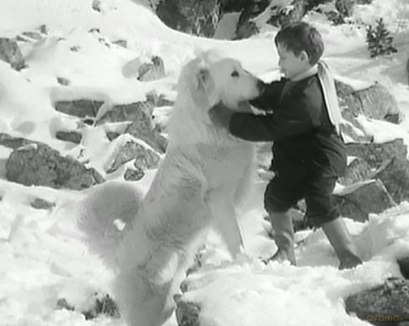 Belle Und Sebastian - Staffel 1 [3DVD]