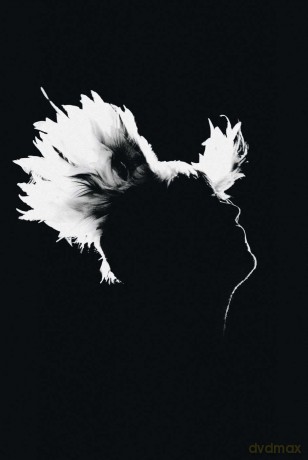 Bercy 17.12.2010 [DVD]