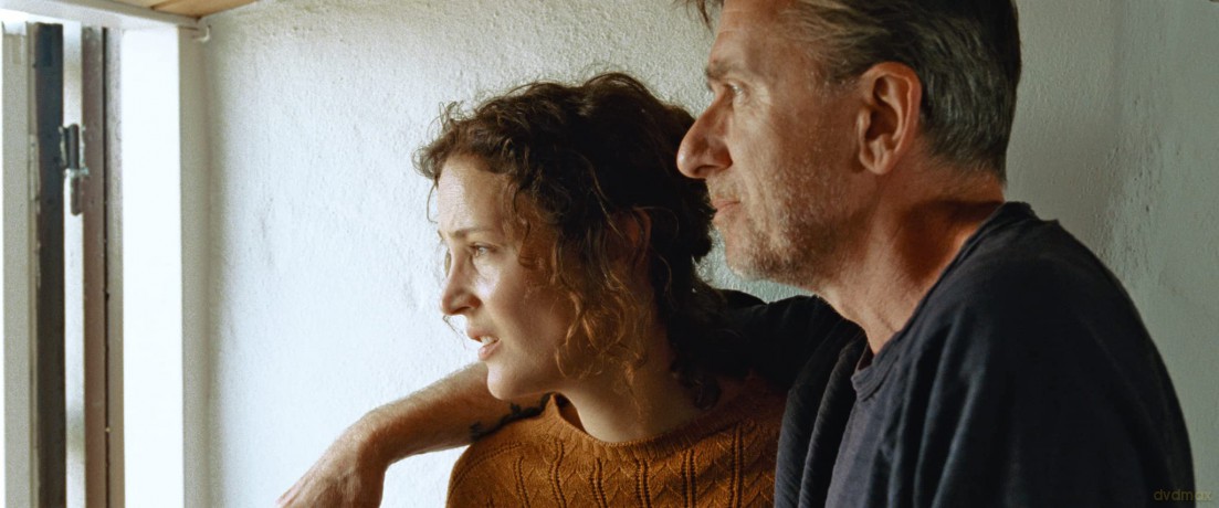 Bergman Island [DVD]