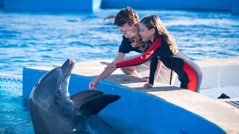 Bernie,Der Delfin 2-Ein Sommer Voller Ab [Blu-Ray]