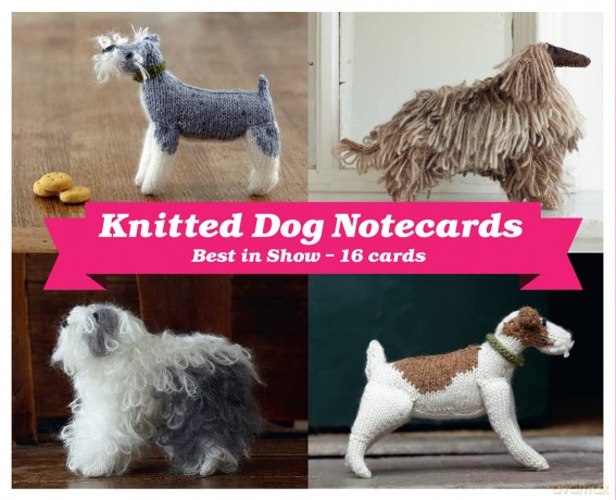Best In Show Dog Box Notecards [KSIĄŻKA]