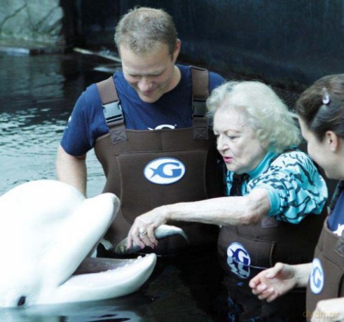 Betty White: Champion For Animals [DVD]
