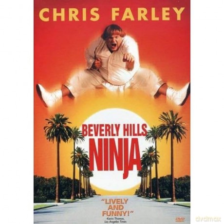 Beverly Hills Ninja [DVD]
