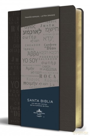 Biblia Rvr 1960 Letra Grande Tamano Manual, Simil Piel Gris Con Nombres De Dios [KSIĄŻKA]