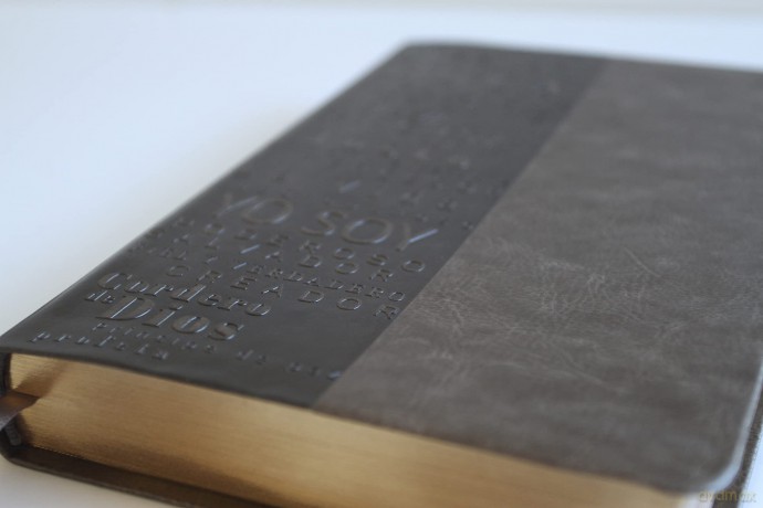 Biblia Rvr 1960 Letra Grande Tamano Manual, Simil Piel Gris Con Nombres De Dios [KSIĄŻKA]