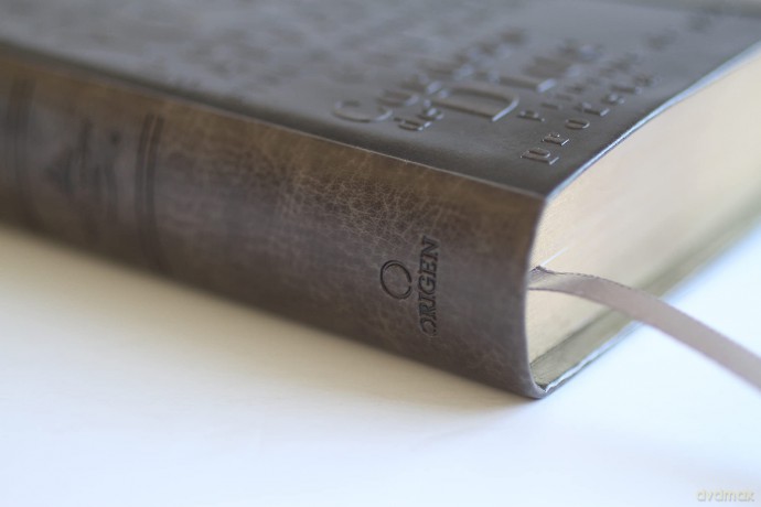 Biblia Rvr 1960 Letra Grande Tamano Manual, Simil Piel Gris Con Nombres De Dios [KSIĄŻKA]