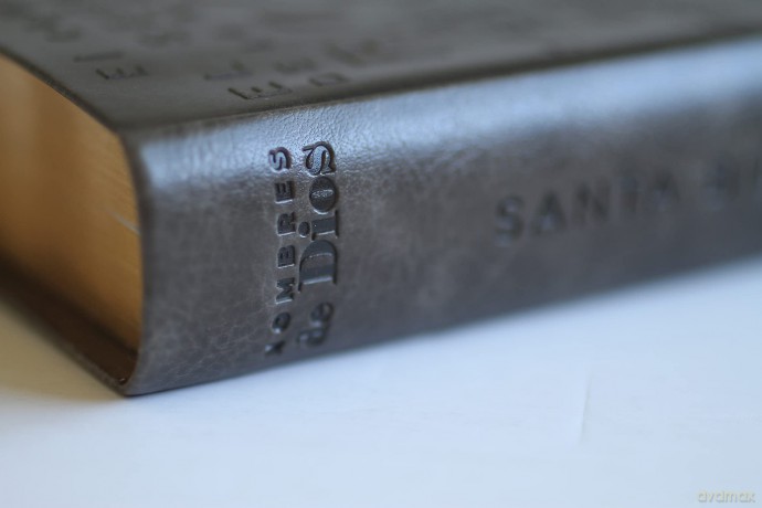 Biblia Rvr 1960 Letra Grande Tamano Manual, Simil Piel Gris Con Nombres De Dios [KSIĄŻKA]