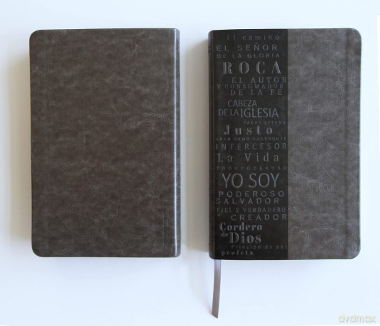 Biblia Rvr 1960 Letra Grande Tamano Manual, Simil Piel Gris Con Nombres De Dios [KSIĄŻKA]