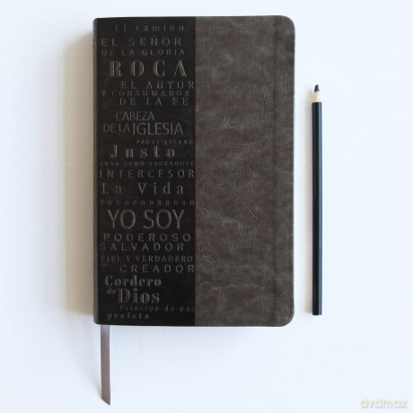 Biblia Rvr 1960 Letra Grande Tamano Manual, Simil Piel Gris Con Nombres De Dios [KSIĄŻKA]