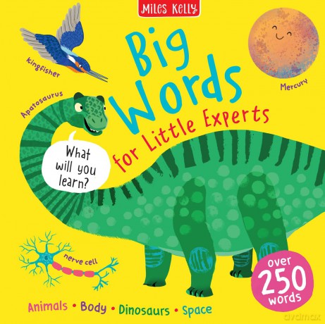 Big Wordsbig Words For Lit Hb [KSIĄŻKA]