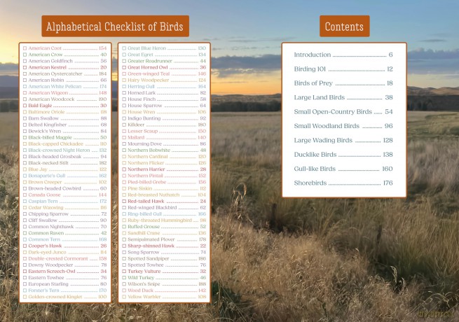 Bird Watchers Field Guide Sticker Logbook [KSIĄŻKA]