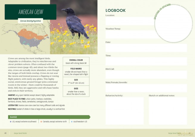 Bird Watchers Field Guide Sticker Logbook [KSIĄŻKA]
