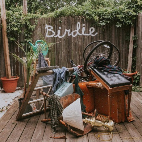 Slaughter Beach, Dog: Birdie (Ltd. Olive Green) [Winyl]