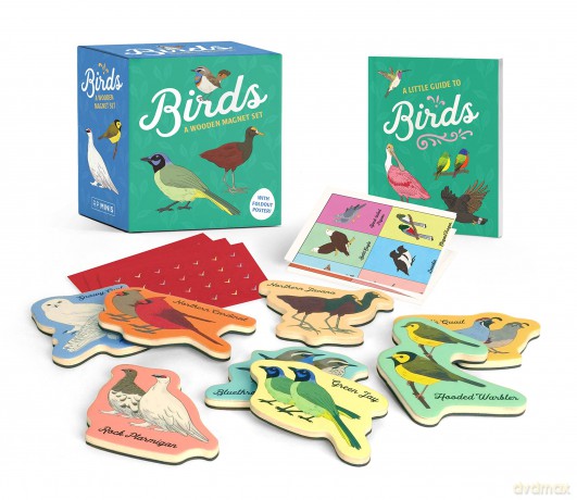 Birds A Wooden Magnet Set [KSIĄŻKA]