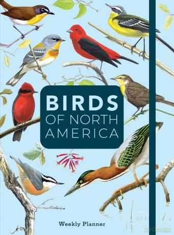 Birds of North America [KSIĄŻKA]
