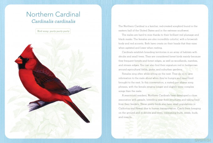 Birds of North America [KSIĄŻKA]