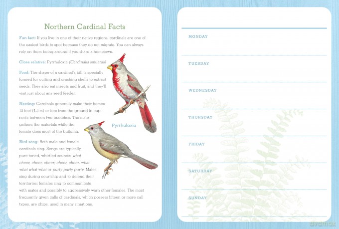 Birds of North America [KSIĄŻKA]