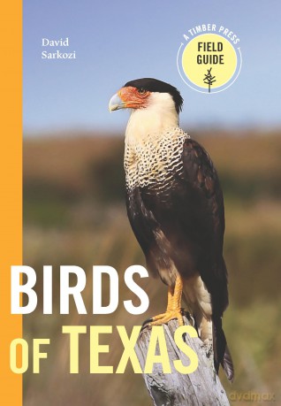 Birds of Texas [KSIĄŻKA]