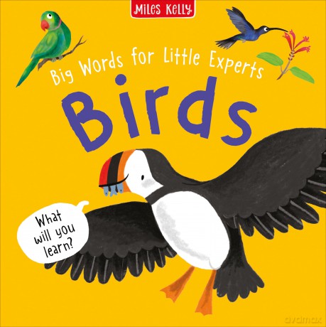 Birdsbig Words For Little [KSIĄŻKA]