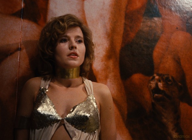 Bitter Tears Of Petra Von Kant [Blu-Ray]