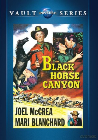 Black Horse Canyon [DVD]