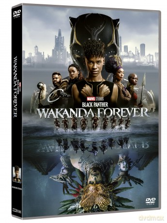 Black Panther - Wakanda Forever [DVD]