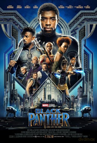 Black Panther [DVD]