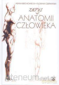 Zarys anatomii człowieka [KSIĄŻKA]