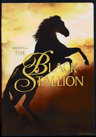 Black Stallion [DVD]