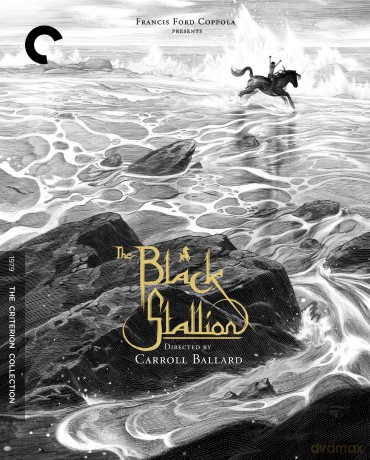 Black Stallion [Blu-Ray]