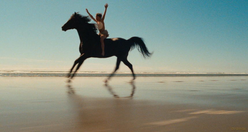 Black Stallion [Blu-Ray]