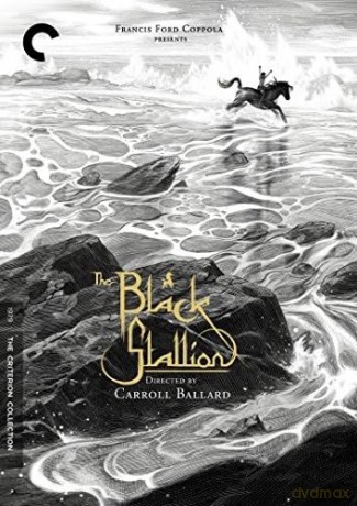Black Stallion [2DVD]
