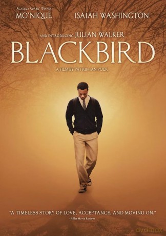 Blackbird [DVD]