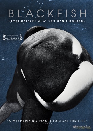 Blackfish (Mc) [DVD]