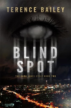 Blind Spot [KSIĄŻKA]