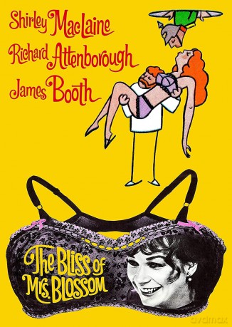 Bliss Of Mrs Blossom [DVD]