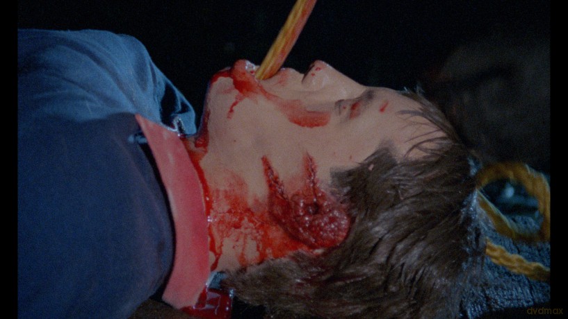 Blood Hook [2xBlu-Ray]