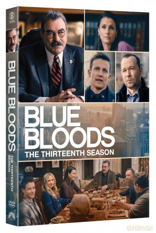 Blue Bloods: The Thirteenth Season [6DVD]