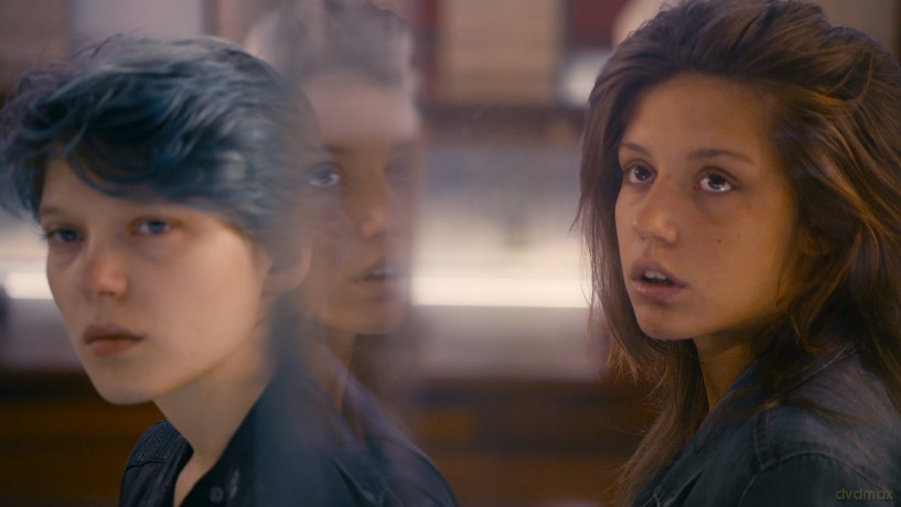 Blue Is The Warmest Color [DVD]