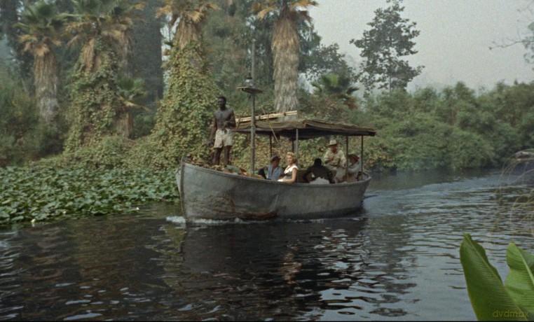 Blutroter Kongo [DVD]
