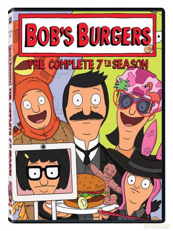 Bob's Burgers: Complete 7th Season [3DVD]