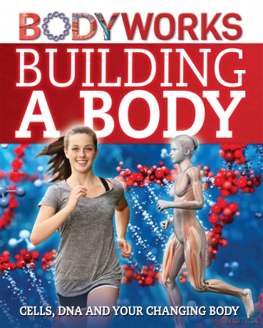 BodyWorks Building a Body Cells DNA and Your Changing Body [KSIĄŻKA]