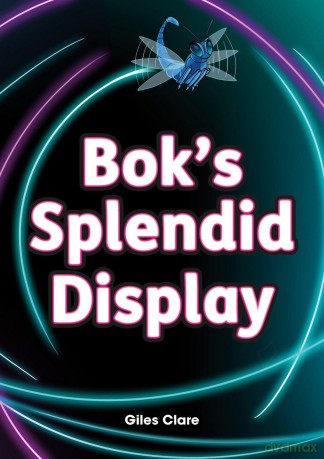 Boks Splendid Display Set 9 [KSIĄŻKA]