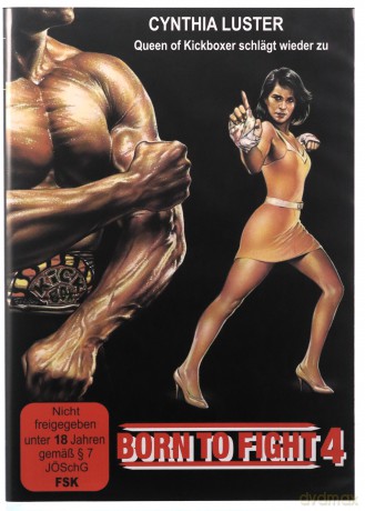 The Outlaw Brothers (Wyjęci spod prawa) [DVD]