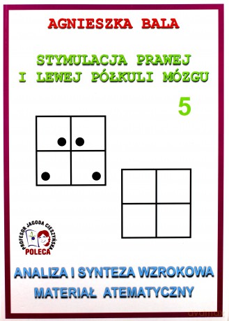 Zeszyt ćwiczenie 5 - Analiza i synteza wzrokowa Arson [KSIĄŻKA]